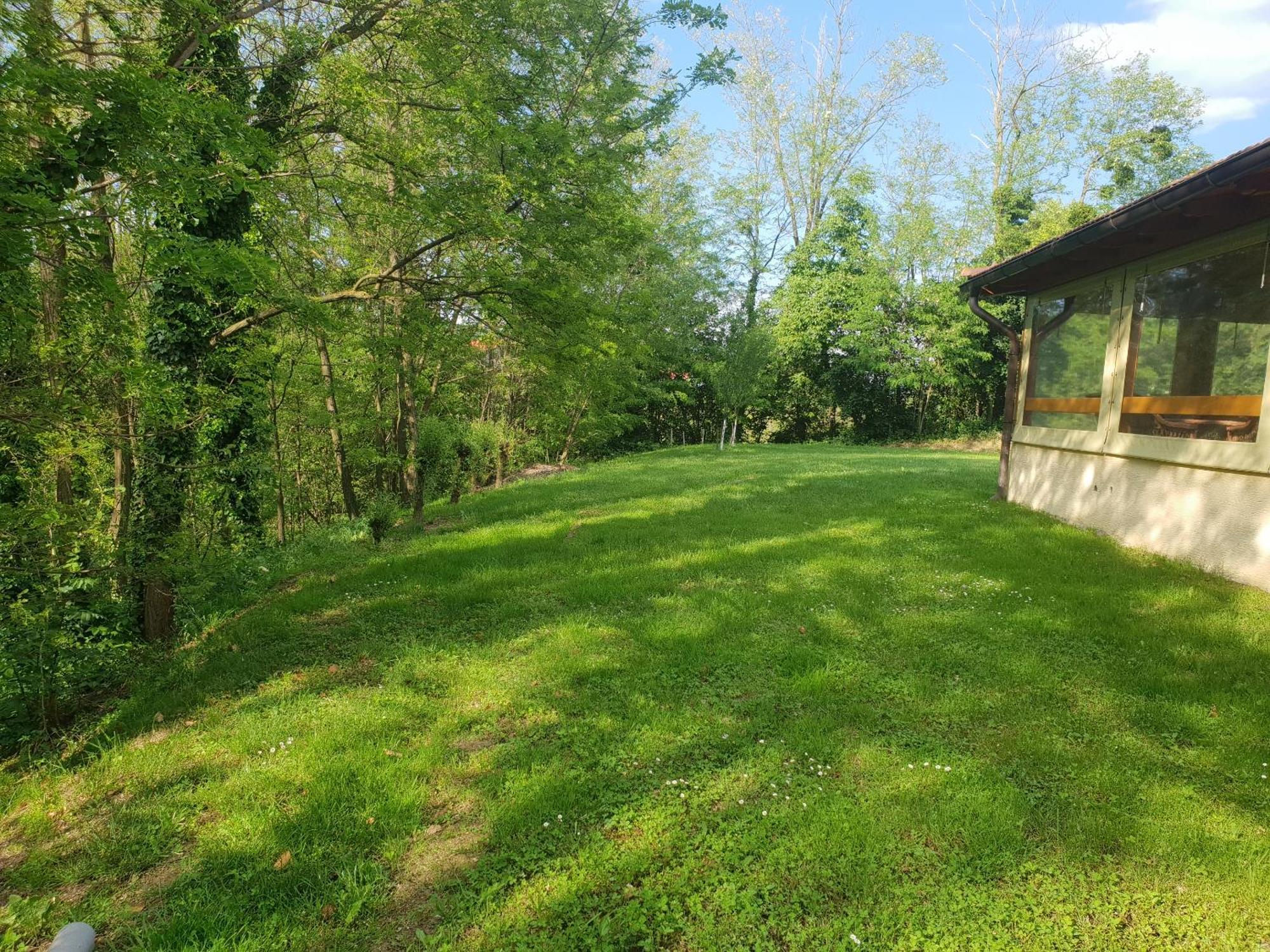 Villa Ruralna Kuca Za Odmor Golub Skaricevo Esterno foto