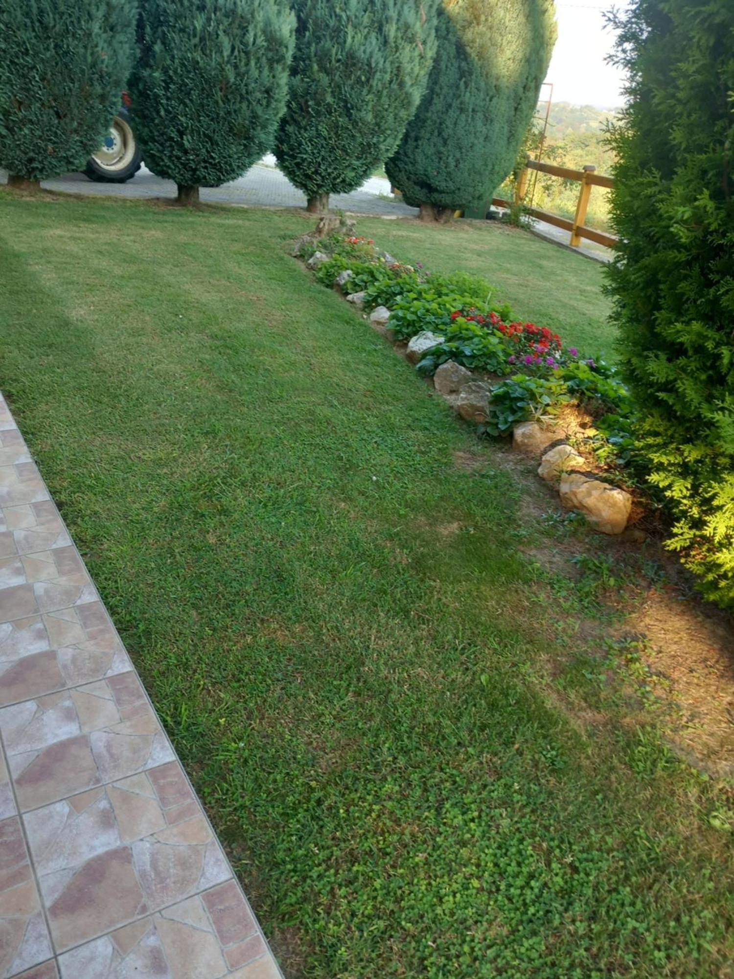 Villa Ruralna Kuca Za Odmor Golub Skaricevo Esterno foto